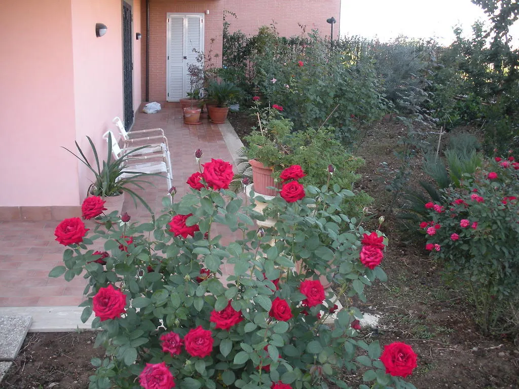 Bed & Breakfast B&B Flores Roma Italia